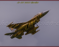 1GLOVELIER 0783